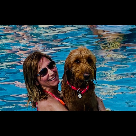 Meet your Posher, Joanne - Picture 2 of 2